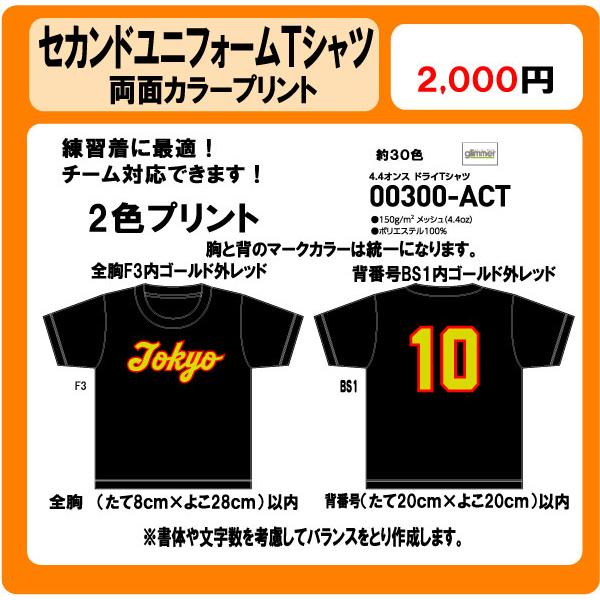 セカンドユニフォーム カラーTシャツ　胸チーム名　背番号　背ネーム２色　カラープリント　DTF