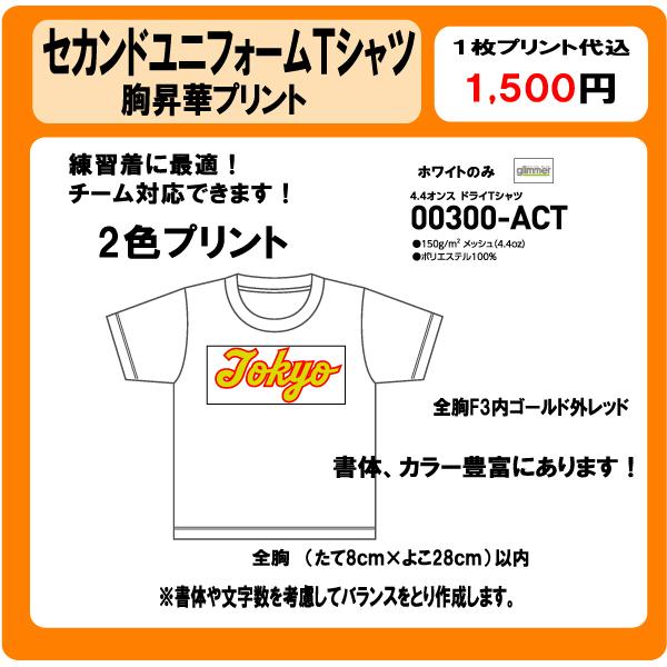 セカンドユニフォーム　Tシャツ　胸チーム名　２色　昇華プリント