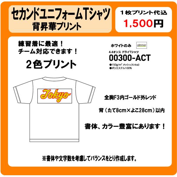 セカンドユニフォーム　Tシャツ　背　チーム名　２色　昇華プリント