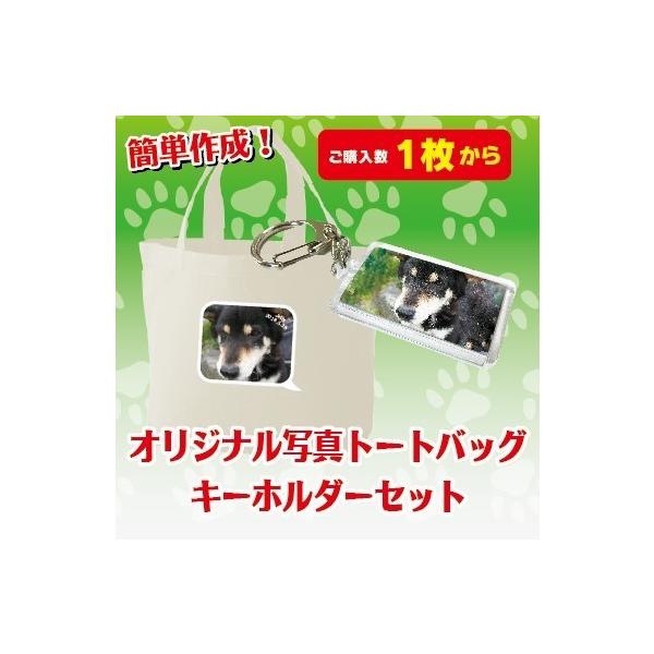 ʐ^g[gobO@L[z_[Zbg Ƒ ʐ^ IWi ObY L[z_[ vg ybg obO    q lR