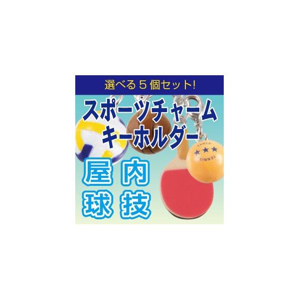 スポーツ チャーム キーホルダー 5個セット 屋内球技 バレーボール アクセサリー 素材 バスケ キーホルダー 卓球 手作り パーツ プレゼント メール便送料無料