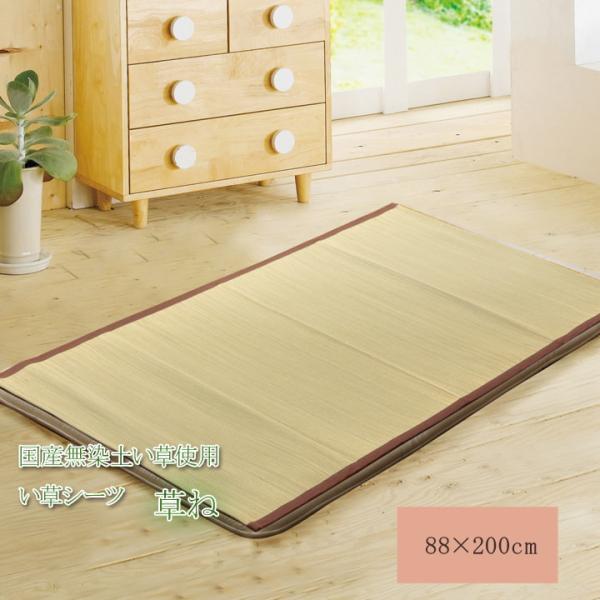 純国産 い草敷きパット 『草ね 汗取りP』 シングル 約88×200cm