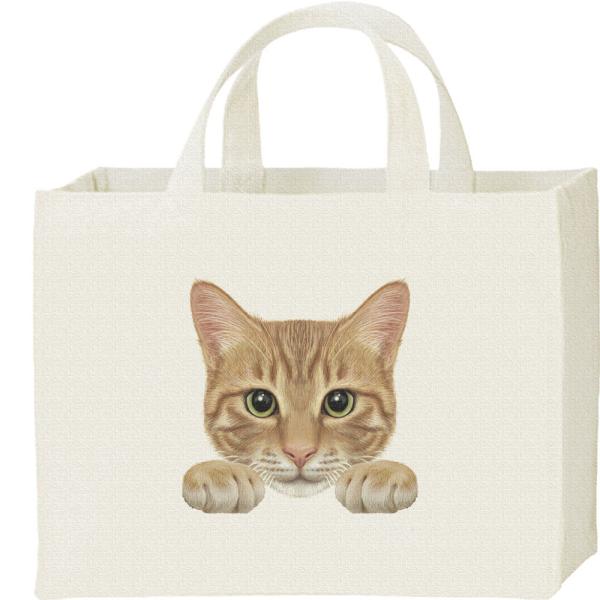 スクエア トートバッグ キャンバスの人気商品 通販 価格比較 価格 Com