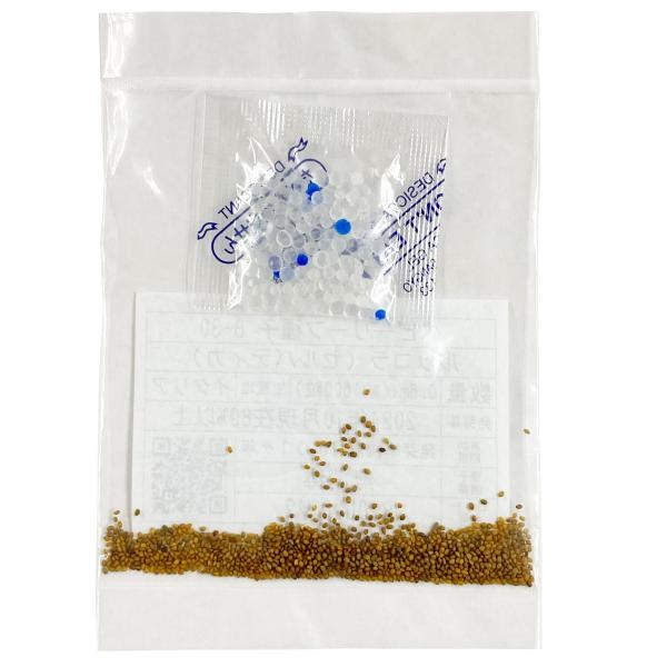 鮮烈な風味と辛みが特徴！ルッコラの野生種！ルッコラの原種ともいわれる「セルバティカ」日本ではまだまだなじみのない野菜ですが、イタリアを中心としたヨーロッパではメジャーな食用ハーブです。ルッコラと同じくピリッとした辛みと苦み、ごまに似た風味が...