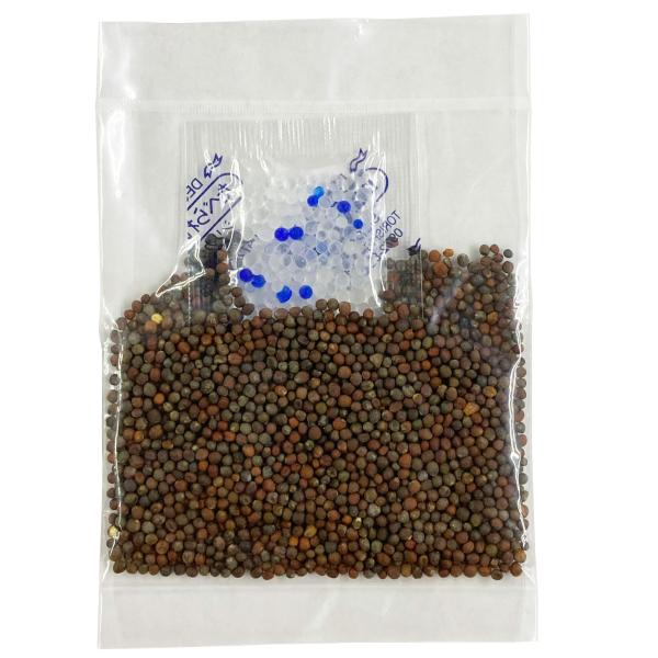 スプラウト(新芽)には植物パワーが凝縮！！成熟ブロッコリーの8〜10倍のサルフォラフェンを含むほか、カロチンやビタミンC、ビタミンE、ビタミンKが特に豊富。活性酸素を無害化する働きを持つ抗酸化物質も多い。特に発芽後３日目のスプラウトには栄養...