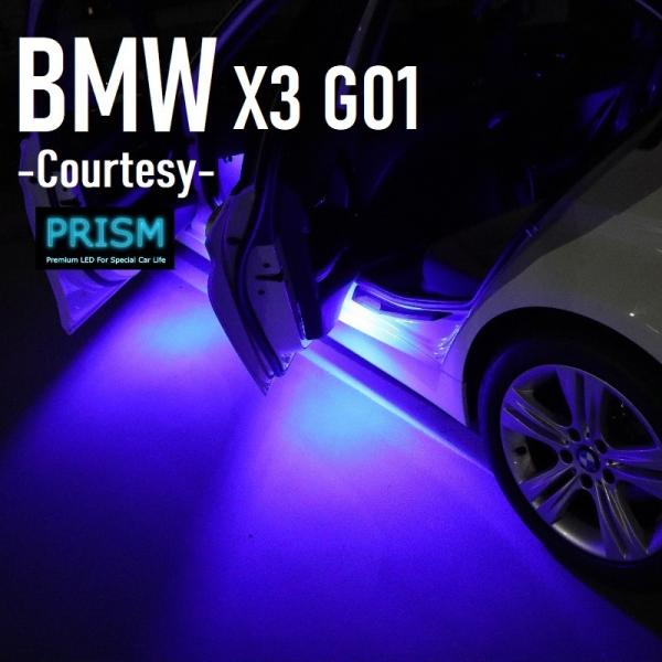 BMW X4シリーズ M4 G02 LED カーテシ 純正ユニット交換タイプ ドア下ライト カーテシランプ 室内灯 ルームランプ 青色 2個 1set 2色展開