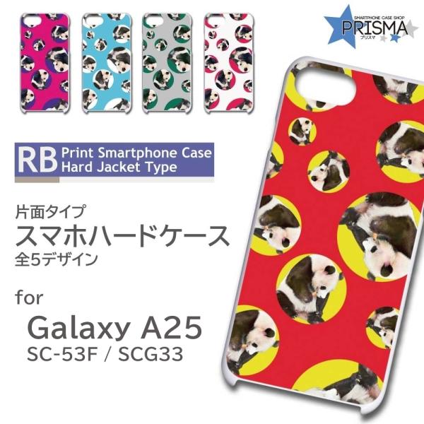 こパンダ　ガラスケース Galaxy A25 ケース パンダ 動物 SC-53F SCG33 ギャラクシー a25