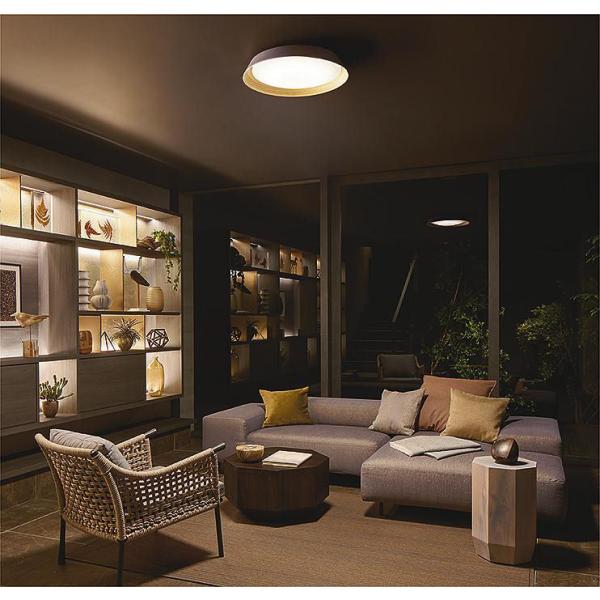 大光電機　LEDシーリングライト　DCL-41626 大光電機 調光調色タイプシーリング リモコン付 DCL41626