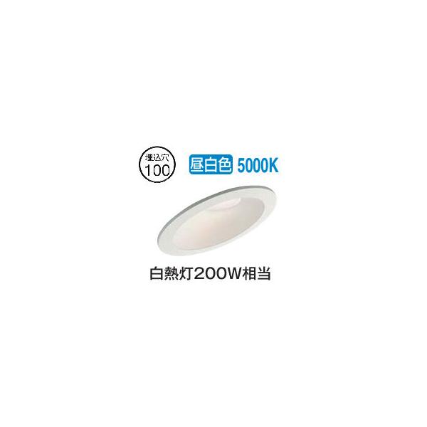 大光電機 傾斜天井用ダウンライト(軒下兼用) DDL5417WWG 工事必要