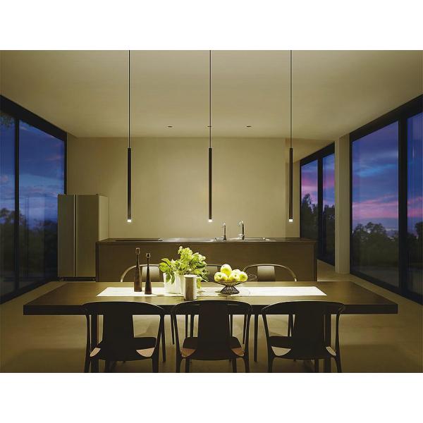 大光電機　DPN-41519Y ブラック ペンダントライト　ダクトレール用 大光電機 DPN-41519Y ブラック ペンダントライト ダクトレール用