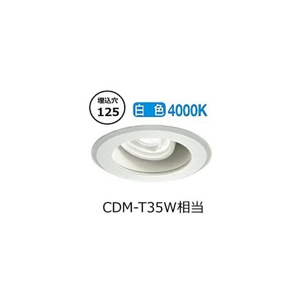 大光電機 ダウンライト(電源装置別売) LZW92179NW 工事必要 : プリズマ
