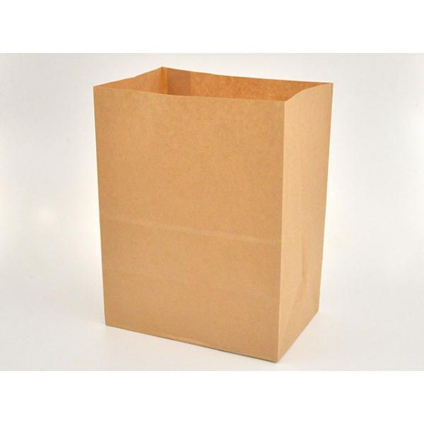 他サイト： 持ち帰り袋 持ち帰り用紙袋 角底袋 紙袋 パックタケヤマ 角底袋 ハイバッグ H500 未晒 無地 100枚の商品画像