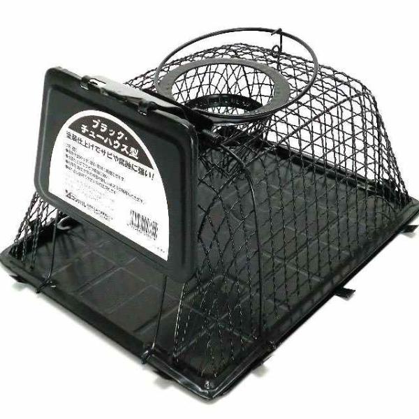 lY~߂@ubNE`[nEX^X^_[h