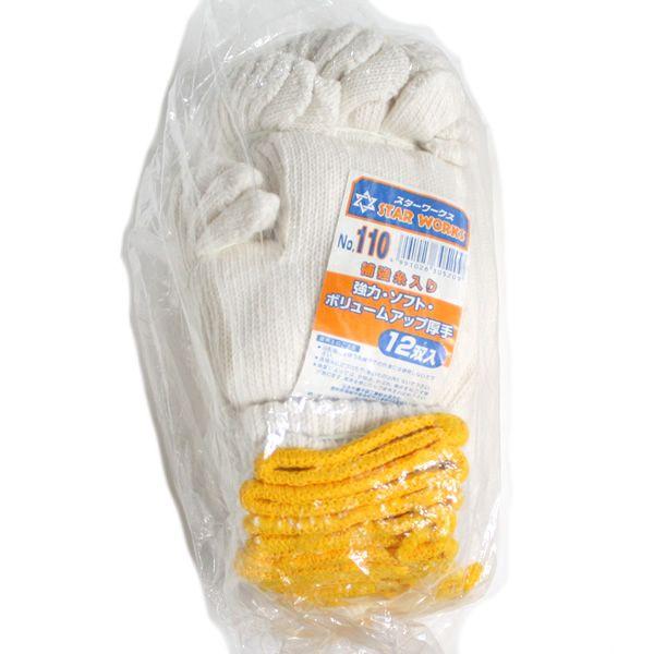 R  X^[[NX No.110 12oi1_[Xj