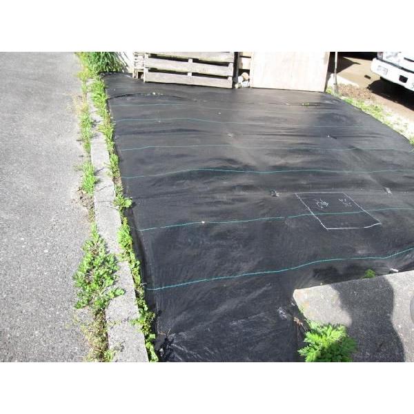 防草シート1ｍ 10ｍ お庭 駐車場の雑草防止に Buyee Buyee 提供一站式最全面最专业现地yahoo Japan拍卖代bid代拍代购服务