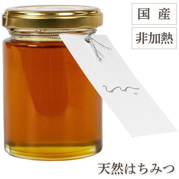 proactive-shop_hy02 proactive-shop_hy02