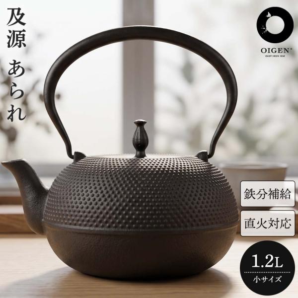 及源 南部鉄瓶 観月アラレ H-159-S 1.2L 南部鉄器 日本製 直火OK 鉄 急須 鉄瓶 人気 ギフト おすすめ プレゼント 父の日 母の日 敬老の日