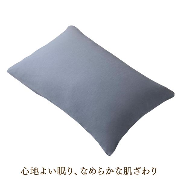 TAKEFU 竹布 枕カバー 日本製 封筒型 抗菌 消臭 静電気防止 美髪 肌に優しい ピローケース 国産 たけふ [メール便送料無料]