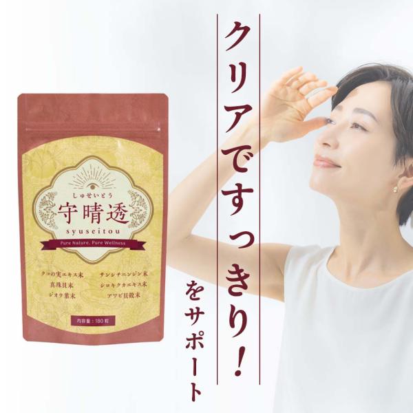 【20種の和漢素材】 アイケア サプリメント 守晴透 180粒 約1ヶ月分 ルテイン ゼアキサンチン クコの実
