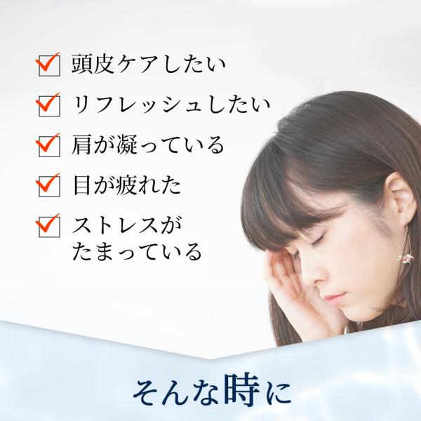���̂����� �X�J���v�P�A�G�b�Z���X ���i�摜1