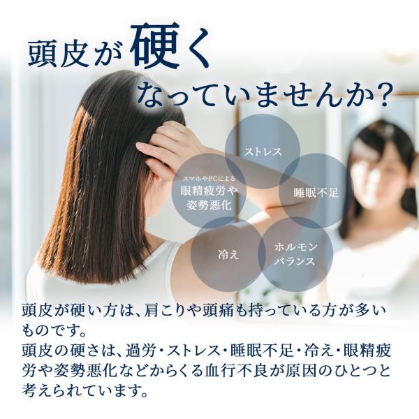 ���̂����� �X�J���v�P�A�G�b�Z���X ���i�摜3
