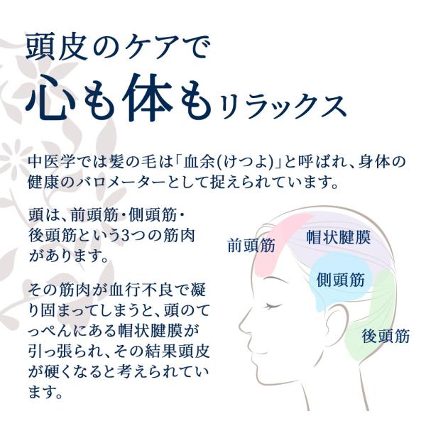 ���̂����� �X�J���v�P�A�G�b�Z���X ���i�摜4