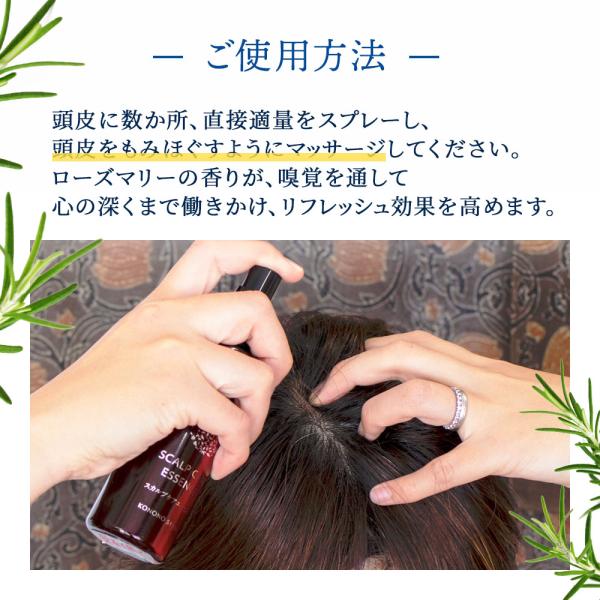���̂����� �X�J���v�P�A�G�b�Z���X ���i�摜5