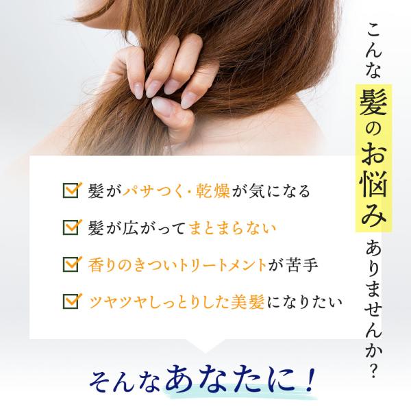 ���̂����� ���邨���g���[�g�����gEX ���i�摜2