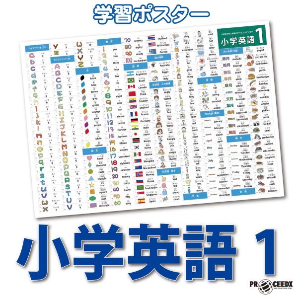 proceedx　学習ポスター　0956　小学英語1　　送料無料　勉強部屋　教室　壁掛け　小学