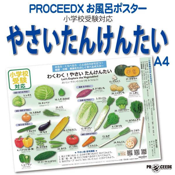 小学校受験対応 やさいたんけんたい お風呂ポスターA4サイズ｜幼児知育・野菜・防水 pro-1603