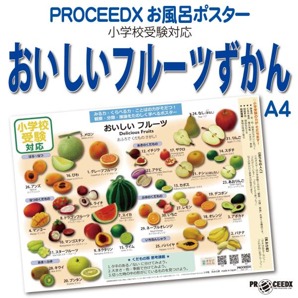 小学校受験対応 おいしいフルーツずかん お風呂ポスターA4サイズ｜幼児知育・果物・防水 pro-1604