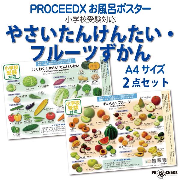小学校受験対応 お風呂ポスターA4サイズ｜幼児知育・やさいたんけんたい・フルーツずかん　2点セット　防水　proceedx1606