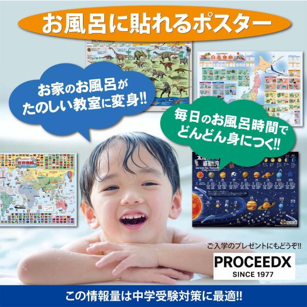 �����C�|�X�^�[ ���w�Z���� �Ђ炪�ȁE�J�^�J�i�\ A4 �w�K�|�X�^�[ �h�� �m�� ���{�� �������� PROCEEDX1610 ���i�摜3