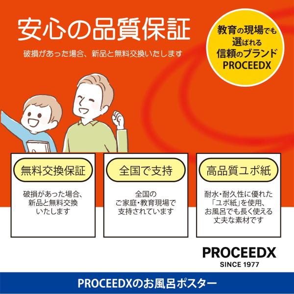 �����C�|�X�^�[ ���w�Z���� �Ђ炪�ȁE�J�^�J�i�\ A4 �w�K�|�X�^�[ �h�� �m�� ���{�� �������� PROCEEDX1610 ���i�摜5