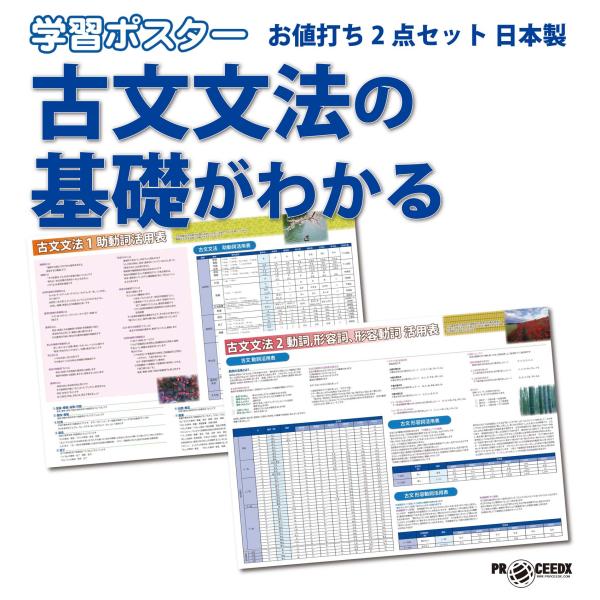 学習ポスター 古文 文法の基礎がわかる 2枚セット 日本製 : PROCEEDX
