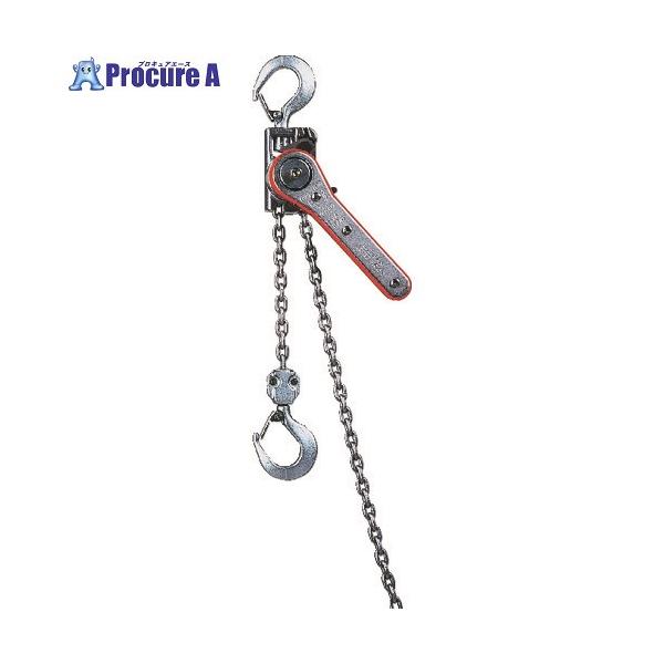 ●定格荷重(t)：0.10●標準揚程(m)：1.0●フック間最小距離(mm)：190●レバー長さ(mm)：127