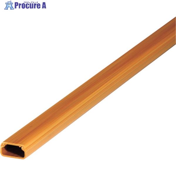 ●色：ケヤキ●適合ケーブル：VVF1.6×3C×1条、UTP0.5×4P×2条●幅(mm)：17●長さ(m)：1●厚さ(mm)：10●サイズ(mm)L：1000●内寸(mm)：15
