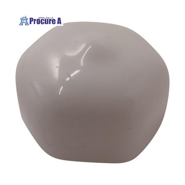 他サイト： DAIDОHANT エンドねじキャップ 六角ボルト頭用 白M6・W1/4 4個入  ■▼146-4833 10187075  1パックの商品画像