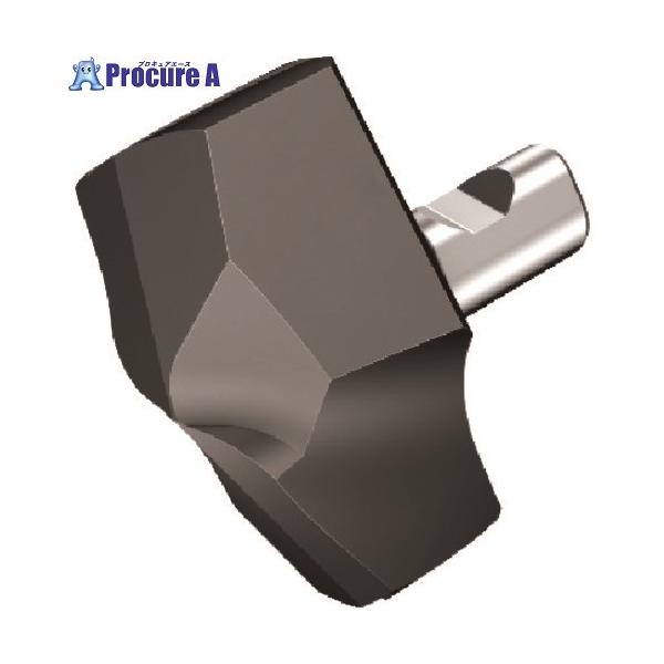 サンドビック（SANDVIK） コロドリル870 ドリルヘッド(346) 2334