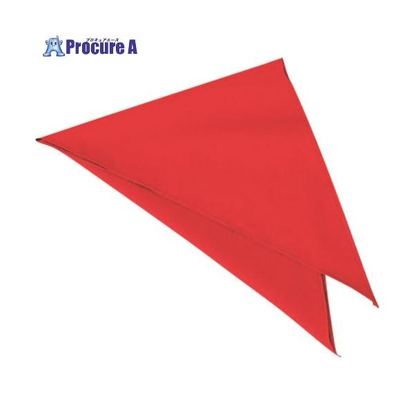 【送料都度見積】●色：ホットチリ