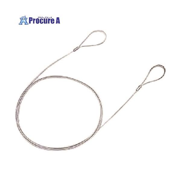 SLE-6W eセキュリティ(1.5M1.0mm) メーカー在庫品
