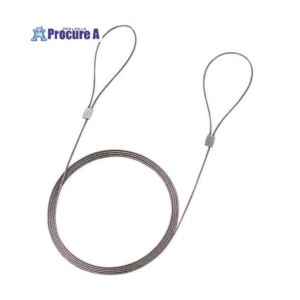 パソコン盗難防止 eセキュリティ ワイヤー ロック（太さ：1mm）（長さ：1.5m）（SLE-2W）
