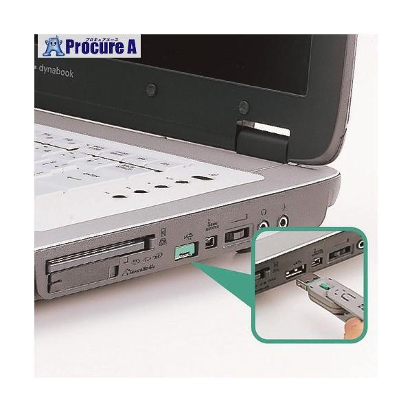 サンワサプライ USBコネクタ取付けセキュリティ(グリーン) SL-46-G 返品種別A