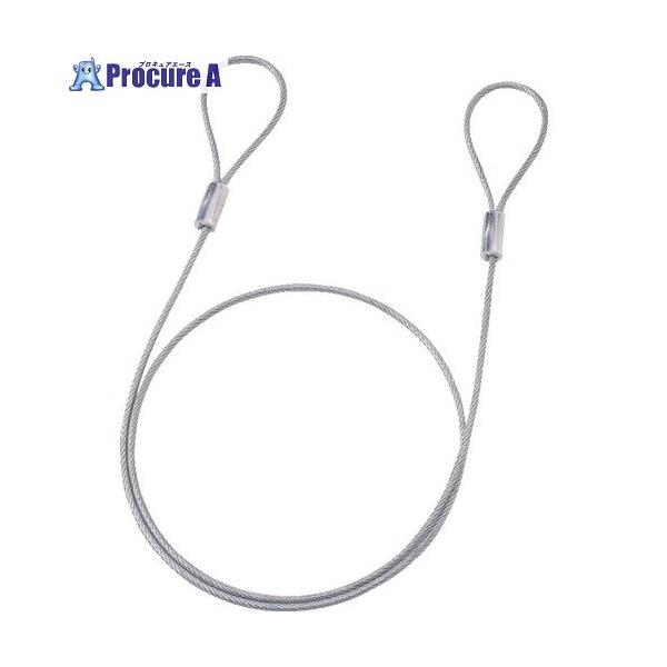 訳あり新品 eセキュリティ ワイヤー 長さ1.0m 径3.5mm SLE-1W-1 サンワサプライ ネコポス対応 外装にキズ、汚れあり