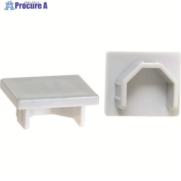 ●適合機種：TMCH2-SV●使用荷重(kg)：30●適合ロープ径(mm)：シルバー●色：シルバー●タイプ：エンドキャップ2個入　シルバー