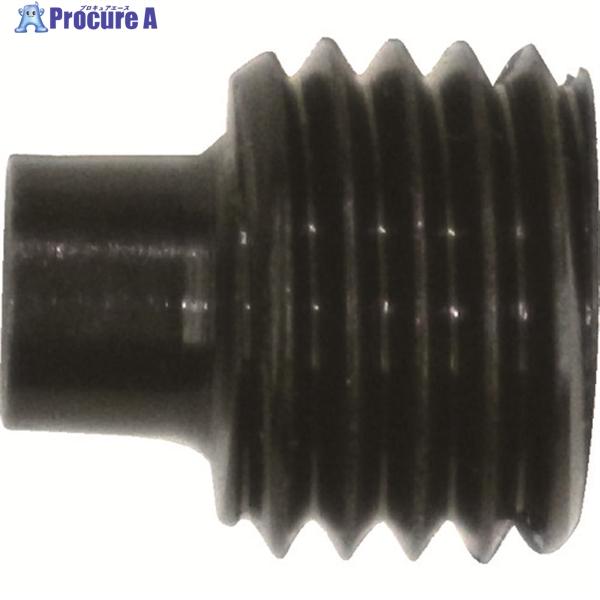 TRUSCO RHR2用止めねじ  ▼208-3501 RHR2-09  1個