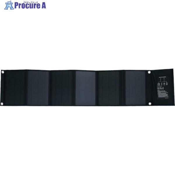 富士倉 2WAY モバイルソーラーパネル ▽253-9653 BA-SP40W 1枚 富士倉 2WAY モバイルソーラーパネル ▽253-9653 BA-SP40W 1枚
