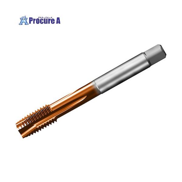 サンドビック SANDVIK コロタップ200 ポイントタップ(781) C110