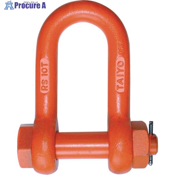 大洋製器工業 TAIYO 軽量シャックル RS-20t(1062634) ▽331-9482