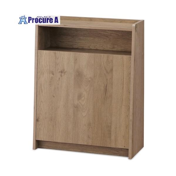 【送料都度見積】  ●色：アッシュブラウン●間口(mm)：630●奥行(mm)：290●高さ(mm)：804●容量(L)：15（ペール1個あたり）●全体耐荷重(kg)：約18●天板耐荷重(kg)：約5●固定棚板耐荷重(kg)：約5●ペール1...